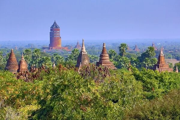 Temples and pagodas and the Bagan Viewing Tower on the Central Plain of Bagan, Myanmar