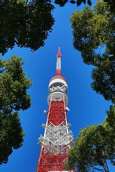 The Tokyo Tower in Tokyo, Japan available as Framed Prints, Photos, Wall  Art and Photo Gifts #12134830