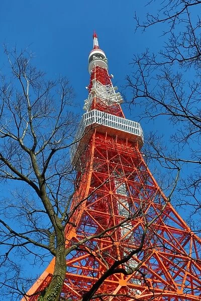 The Tokyo Tower in Tokyo, Japan