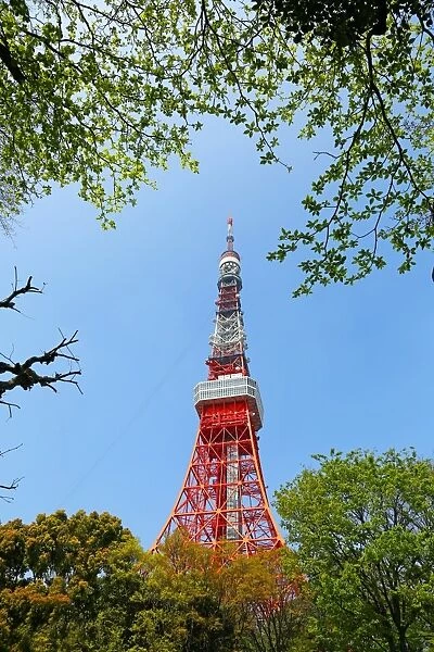 Tokyo Tower in Tokyo, Japan