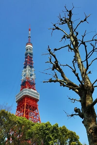 The Tokyo Tower, Tokyo, Japan