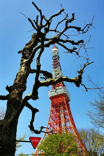 The Tokyo Tower, Tokyo, Japan