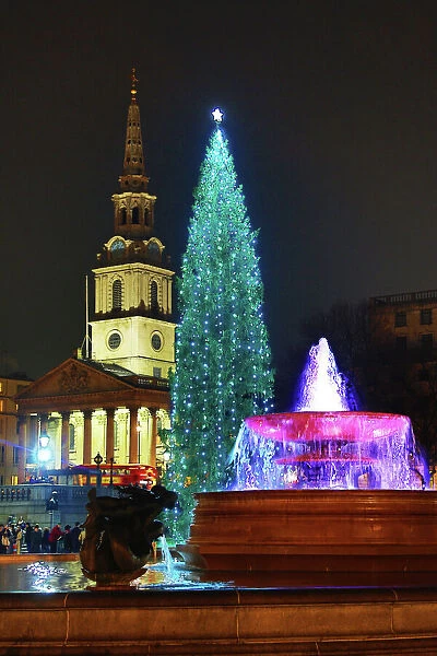 Trafalgar Square Christmas Tree, fountain and reflection, London
