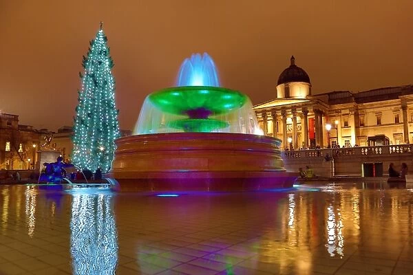 Trafalgar Square Christmas Tree decorations and fountains, London