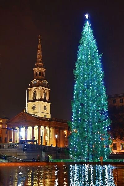 Trafalgar Square Christmas Tree, Trafalgar Square, London