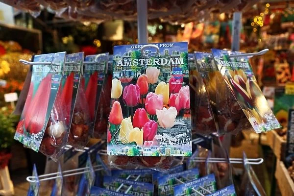 Tulip Bulb souvenirs at the Flower Market in Amsterdam, Holland