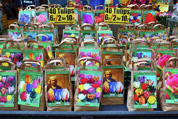 Tulip flowers bulbs on sale in the flower market in Amsterdam, Holland