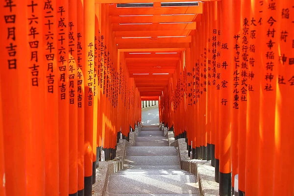 Tunnel of red Torii gates at the Hie Shrine in Asakasa, Tokyo, Japan