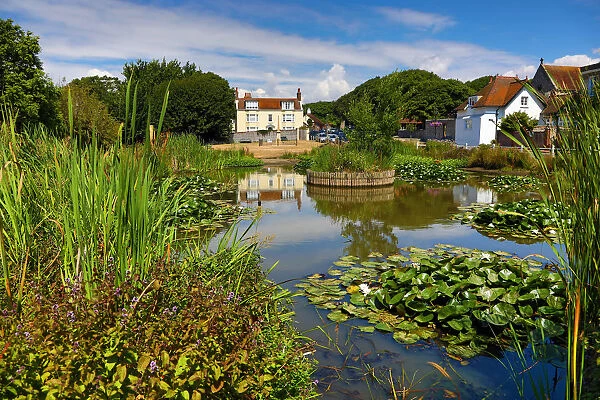 The Village Pond and the Elms in the village of Rottingdean, East Sussex, England