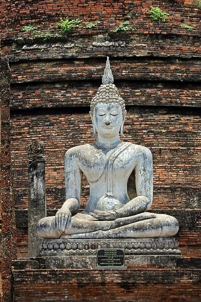 WatBuddha statue at Sa Si temple, Sukhotai, Thailand