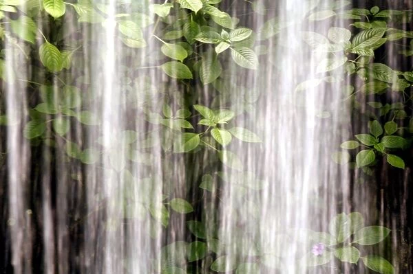 Waterfall with rushing water, spray and leaves