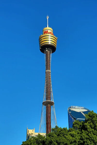 The Westfield Sydney Tower, Sydney, New South Wales, Australia