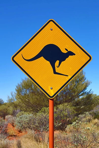 Yellow kangaroo wildife warning sign in Australia