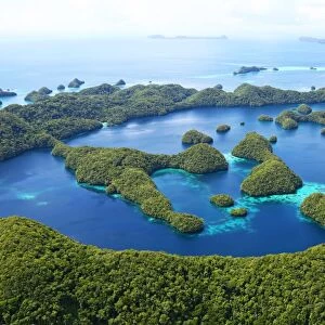 Collections: The Islands of Palau