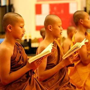 Buddhist monks praying at Wat Chedi Luang in Chiang Mai, Thailand