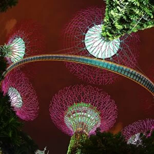 Futuristic Supertrees Grove, Gardens by the Bay, Singapore