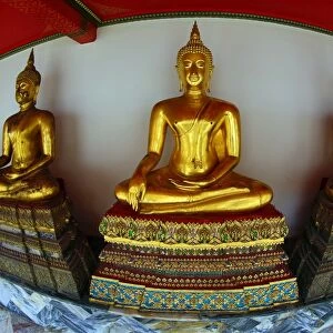 Gold Buddha statues at the Wat Pho Temple Bangkok, Thailand