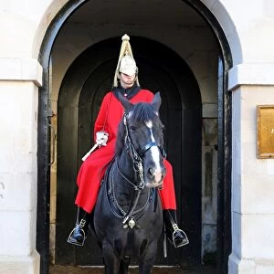 Guard on a horse at Horseguards Parade, London