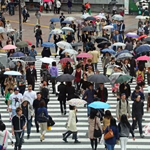 Japanese street scene showing crowds of people crossing the street with umbrellas in the rain on a pedestrian crossing in Shibuya, Tokyo, Japan
