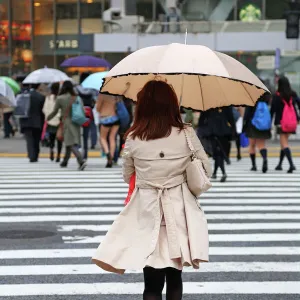 Japanese woman crossing the street with umbrella in the rain on a pedestrian crossing in Shibuya, Tokyo, Japan