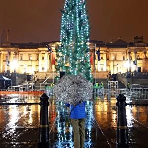 Lighting of the Trafalgar Square Christmas Tree in London