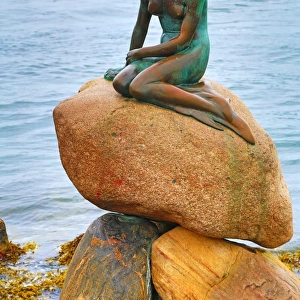 The Little Mermaid statue in Copenhagen, Denmark