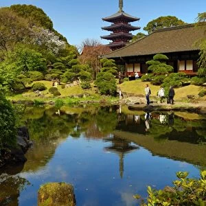 Pagoda and Japanese ornamental garden at Sensoji Asakusa Kannon Temple, Tokyo, Japan