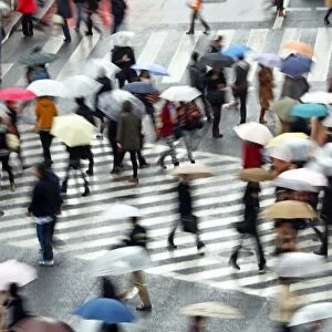 People carrying umbrellas in the rain walking across the pedestrian crossing in Shibuya, Tokyo, Japan