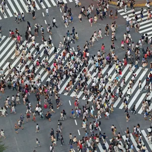 Images Dated 2015 July: 12 Jul 2015