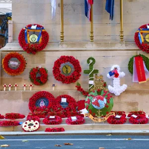 Remembrance Day poppies at the Cenotaph on Remembrance Sunday, London, England