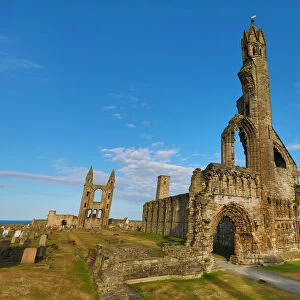Ruins of St Andrews Cathedral, St Andrews, Fife, Scotland