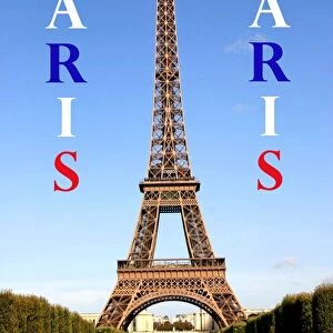 Souvenir of the Eiffel Tower in Paris, France