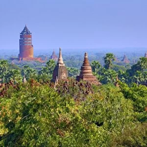 Temples and pagodas and the Bagan Viewing Tower on the Central Plain of Bagan, Myanmar