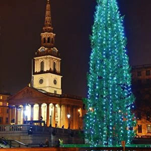 Trafalgar Square Christmas Tree, Trafalgar Square, London