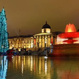 Trafalgar Square Christmas Tree decorations and fountains, London