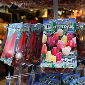 Tulip Bulb souvenirs at the Flower Market in Amsterdam, Holland