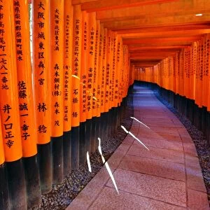 Tunnel of red torii gates, Fushimi Inari shrine, Kyoto, Japan