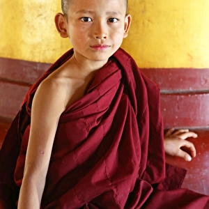Young monk at the Atum Ash Monastery, Mandalay, Myanmar (Burma)