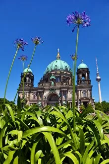 Images Dated 7th June 2014: Berlin Cathedral, the Berliner Dom in Berlin, Germany