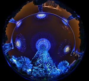 Blue lights of the futuristic Supertrees in the Supertree Grove at the Gardens by the Bay in Singapore Blue lights of the futuristic Supertrees in the Supertree Grove at the Gardens by the Bay in Singapore