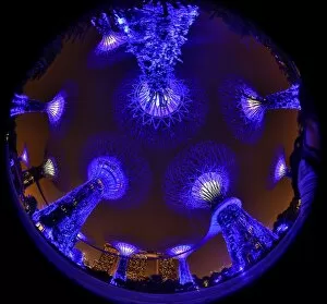 Singapore Collection: Blue lights of the futuristic Supertrees in the Supertree Grove at the Gardens by the Bay in