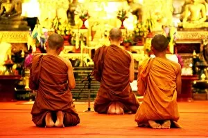 Images Dated 16th April 2014: Buddhist monks praying at Wat Chedi Luang in Chiang Mai, Thailand