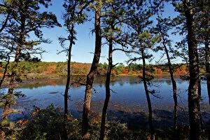 Autumn Collection: Changing colours of the autumn season at a lake in Provincetown, Cape Cod