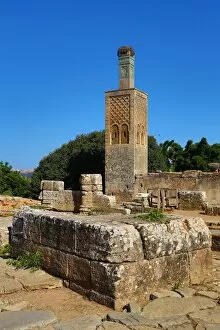 Morocco Collection: The Chellah, a medieval fortified necropolis in Rabat, Morocco