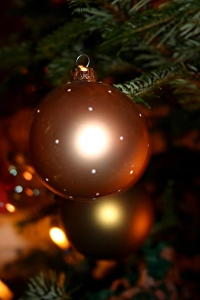 Christmas Decorations