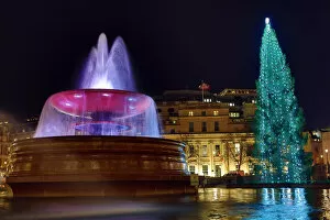 Christmas 2018 Collection: Christmas Tree in Trafalgar Square, London