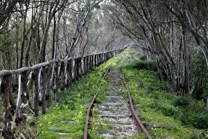 Sicily Collection: Disused railway line