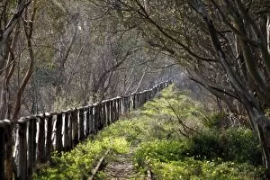 Images Dated 26th March 2012: Disused railway line