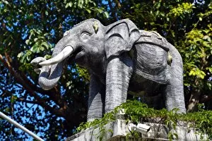 Images Dated 9th November 2014: Elephant statue at Wat Lam Chang Temple in Chiang Mai, Thailand
