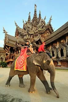 Images Dated 3rd December 2012: Elephant Tour for tourists at the Sanctuary of Truth Temple, Prasat Sut Ja-Tum, Pattaya, Thailand